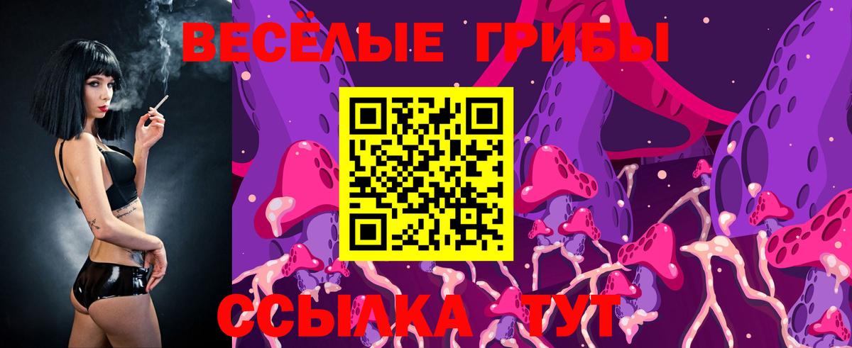 Псилоцибиновые грибы мухоморы Выборг