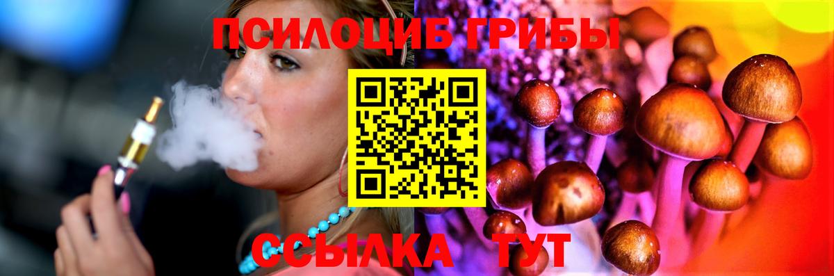 Псилоцибиновые грибы GOLDEN TEACHER  Вход с VPN  Выборг 